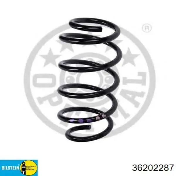 Muelle delantero Mapco 71876 precio, desde 29,13 EUR