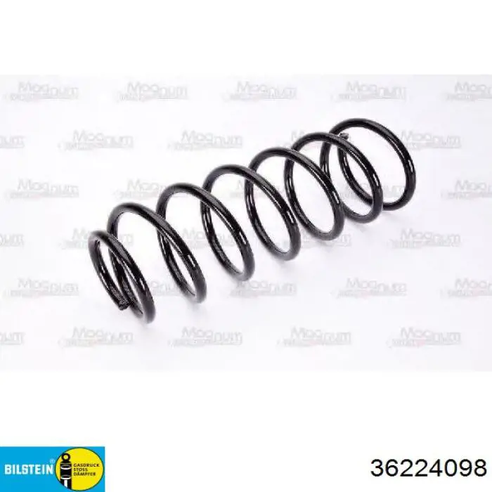 Muelle delantero Tangun S14002 precio, desde 22,88 EUR
