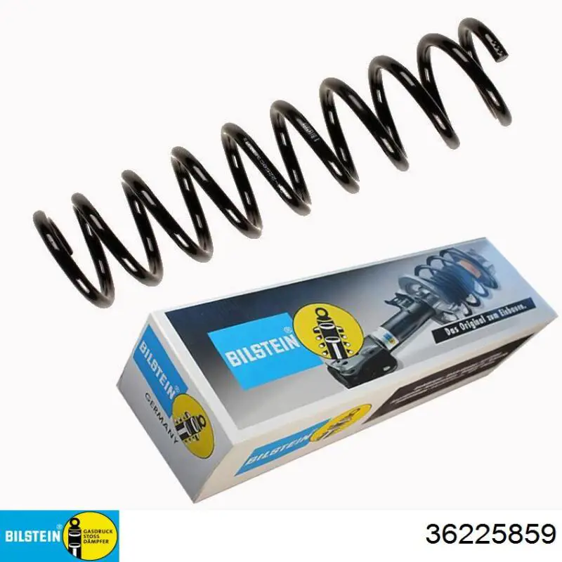 51014 Kilen Muelle trasero