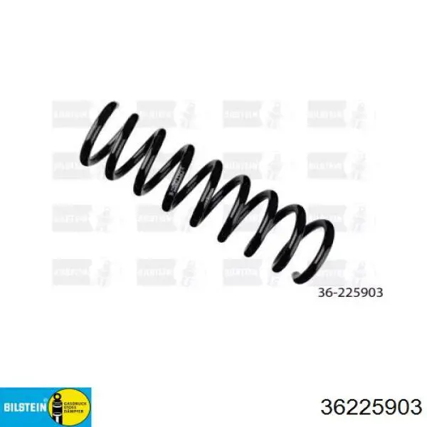 Muelle delantero Bilstein 36225903 precio, desde 35,17 EUR