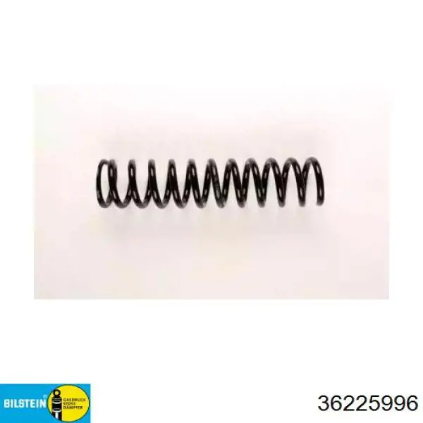 Muelle delantero 1243212104 Mercedes