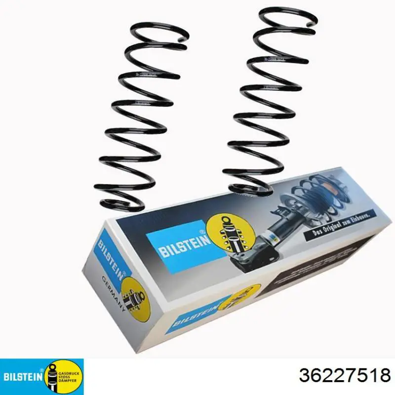 75992 Asam Muelle trasero