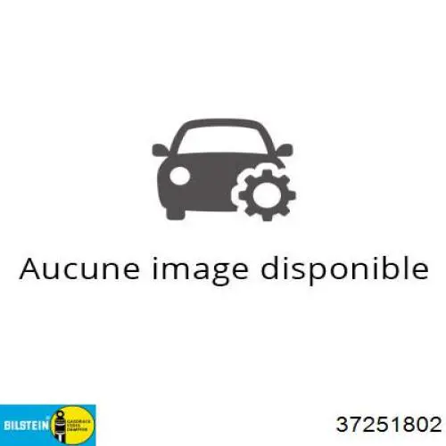 Muelle delantero 5002SY Peugeot/Citroen