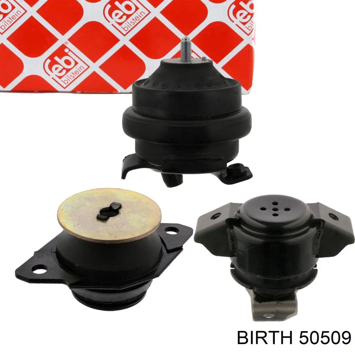 50509 Birth soporte motor izquierdo