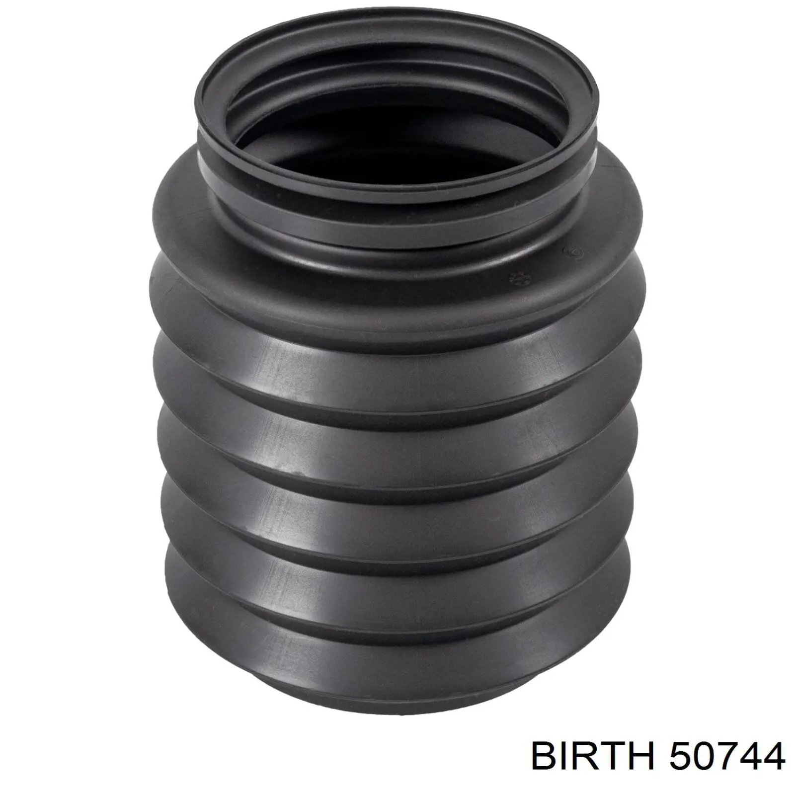 50744 Birth soporte motor izquierdo