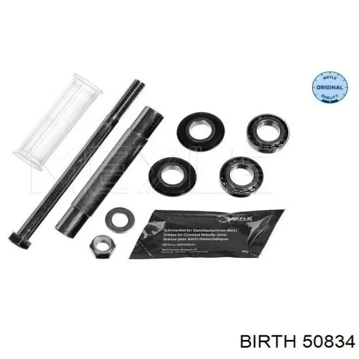 50834 Birth brazo suspension (control trasero inferior derecho)