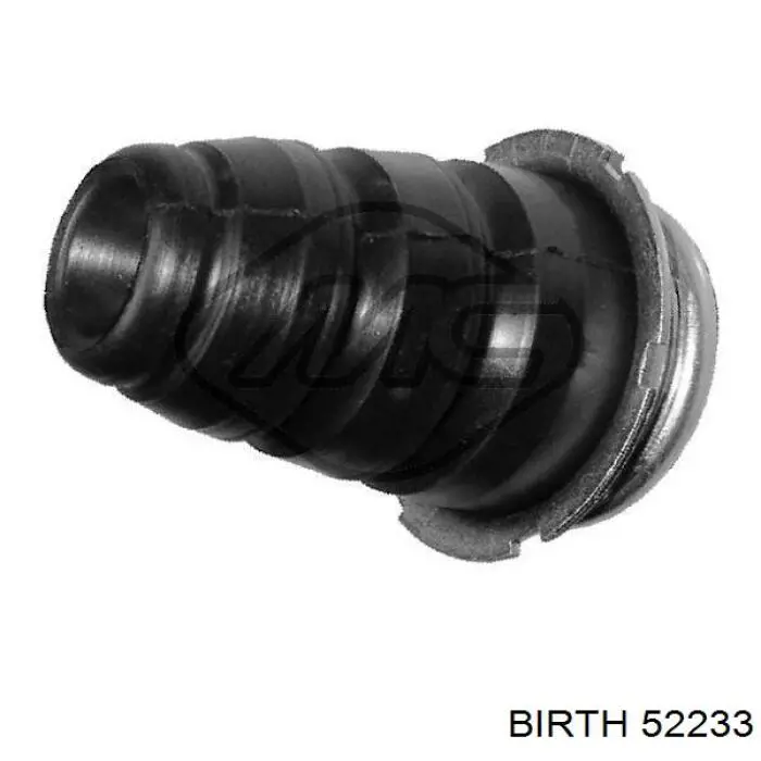 52233 Birth Tope de ballesta trasera