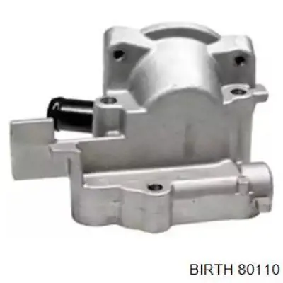 80110 Birth Caja del termostato