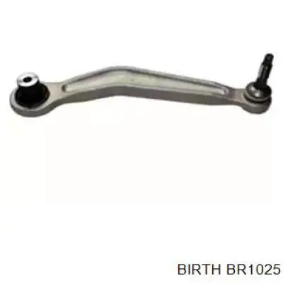 BR1025 Birth brazo suspension trasero superior derecho