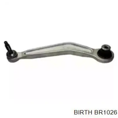 BR1026 Birth brazo suspension trasero superior izquierdo