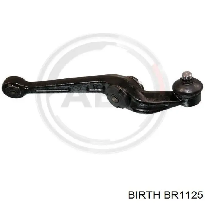 BR1125 Birth barra oscilante, suspensión de ruedas delantera, inferior derecha