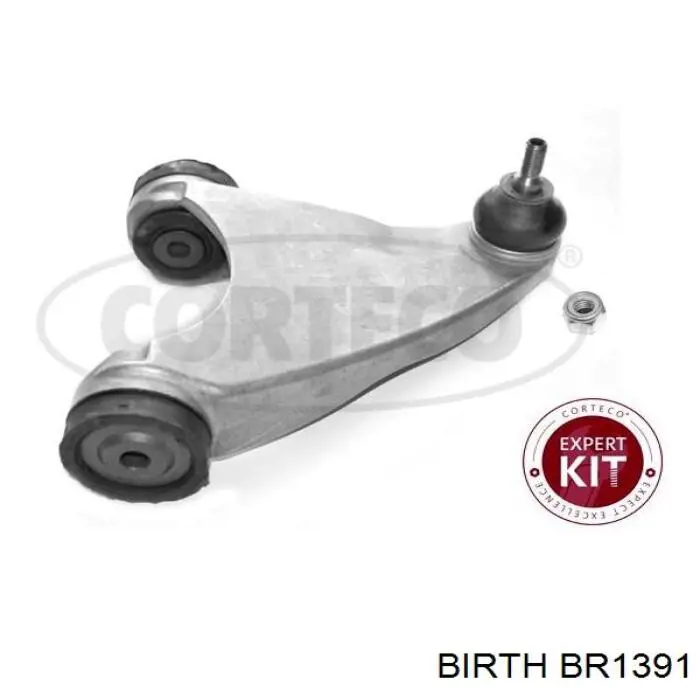 BR1391 Birth barra oscilante, suspensión de ruedas delantera, superior izquierda