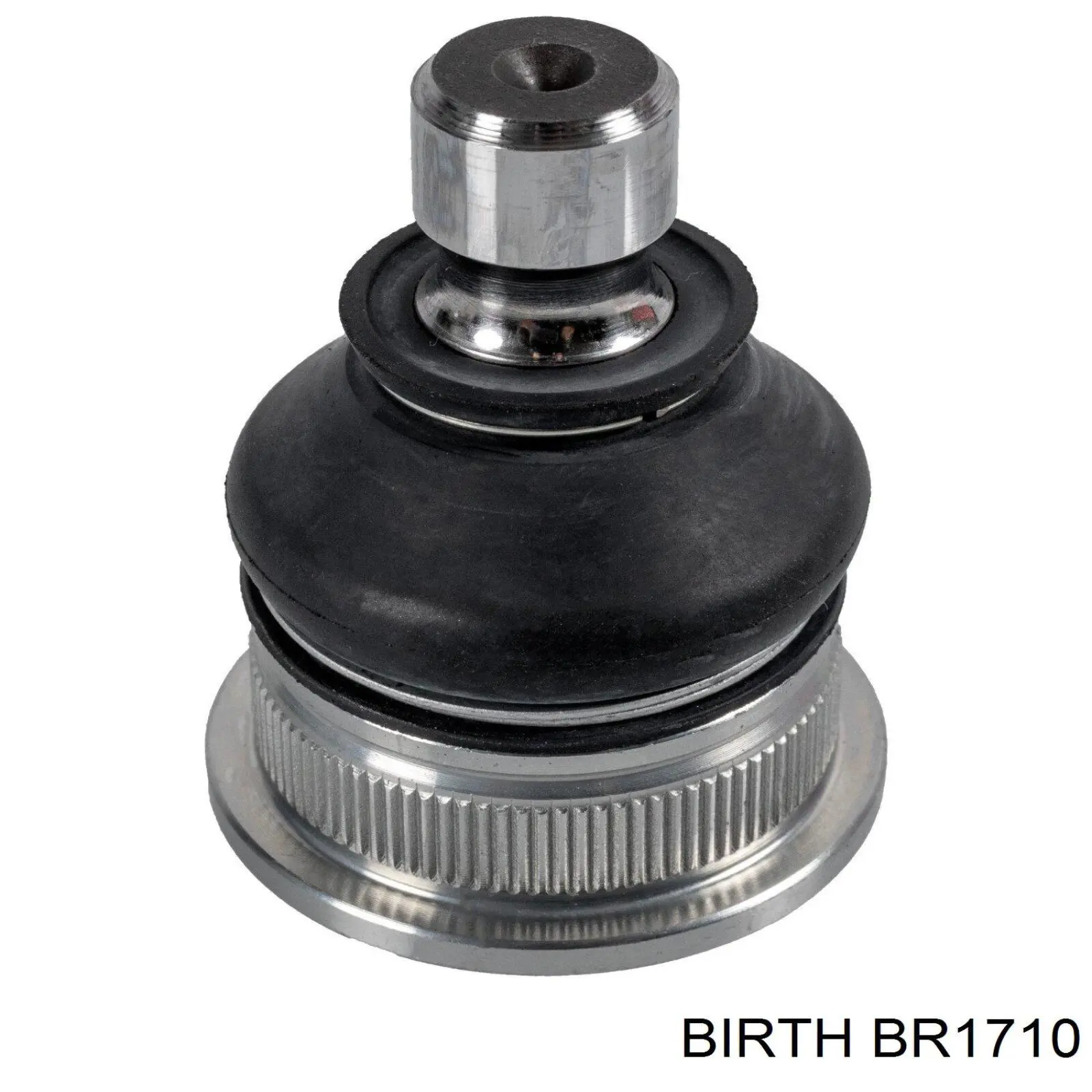 BR1710 Birth barra oscilante, suspensión de ruedas delantera, inferior derecha