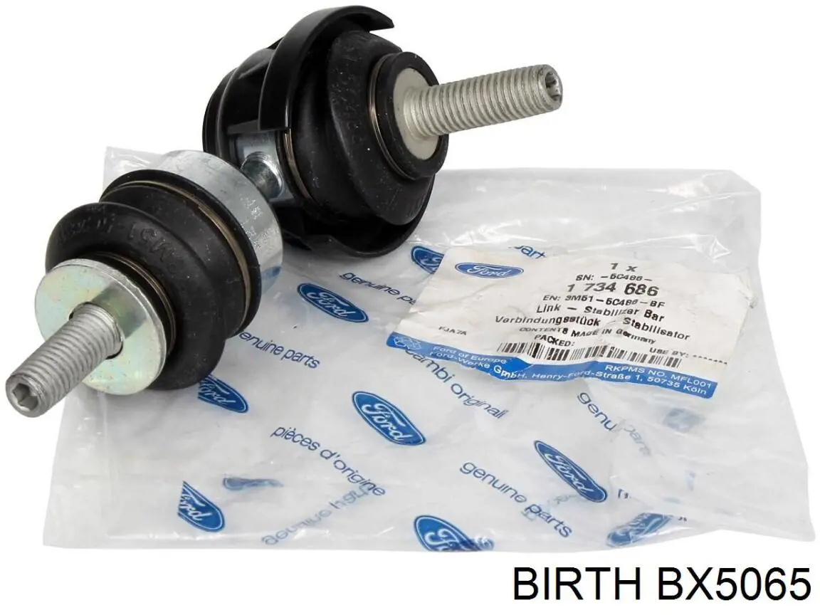 BX5065 Birth Silentblock de la barra estabilizadora