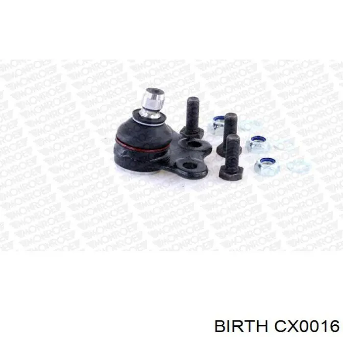 Comprar CX0016 Birth Rótula inferior de suspensión