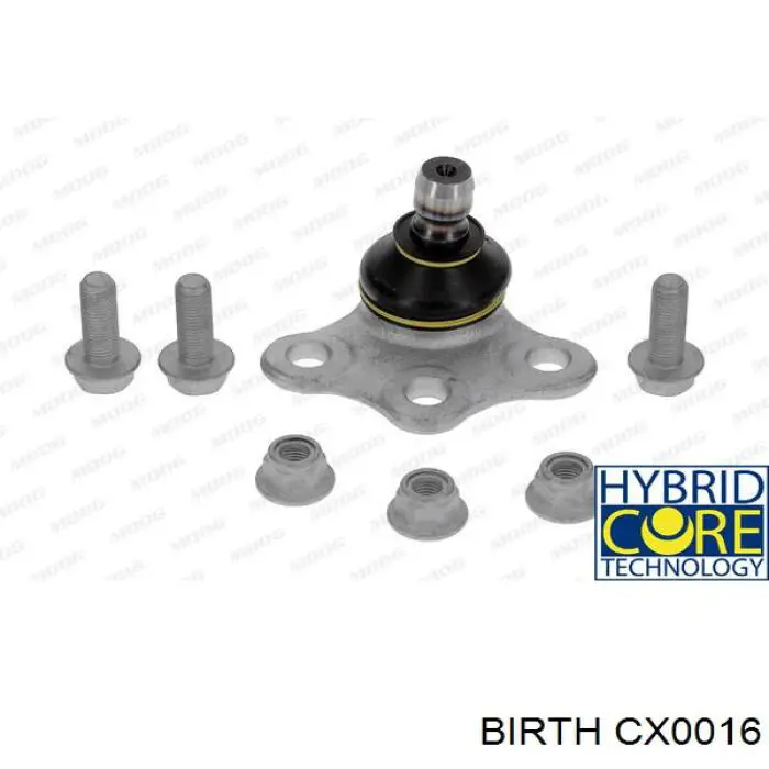 Rótula inferior de suspensión Birth CX0016 precio, desde 9,79 EUR