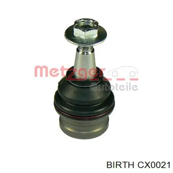 CX0021 Birth rótula de suspensión inferior