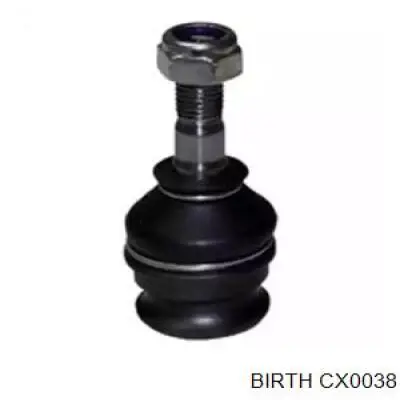 Comprar CX0038 Birth Rótula inferior de suspensión