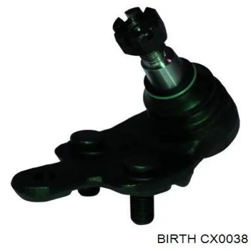 Rótula inferior de suspensión Birth CX0038 precio, desde 13,44 EUR
