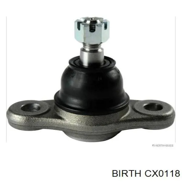 CX0118 Birth Rótula inferior de suspensión