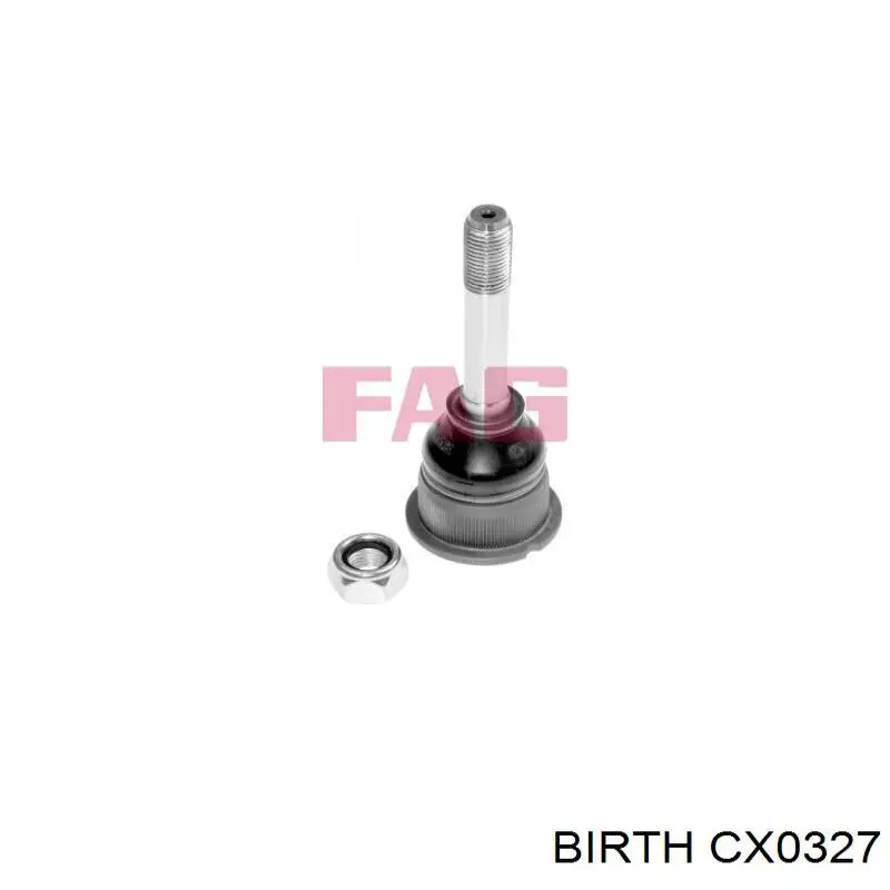 Rótula inferior de suspensión Birth CX0327 precio, desde 12,28 EUR