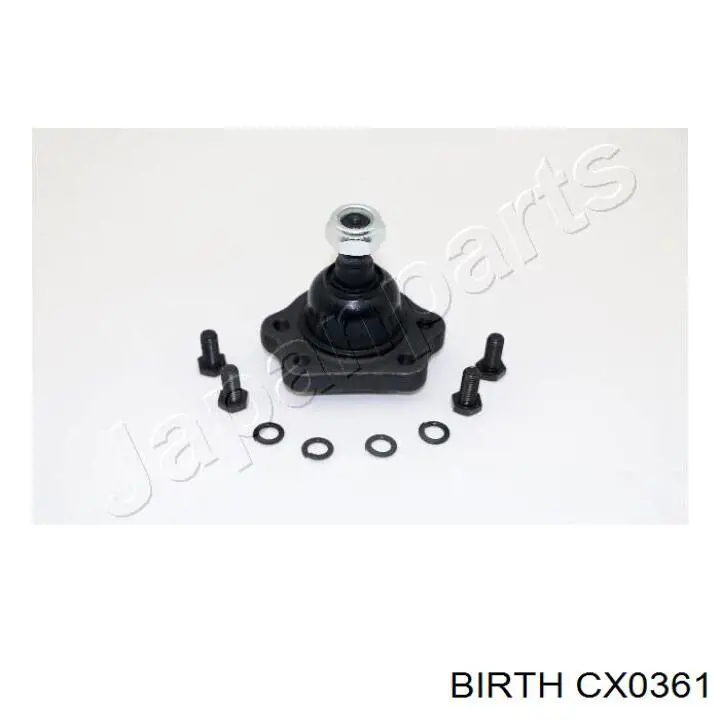 CX0361 Birth Rótula de suspensión superior