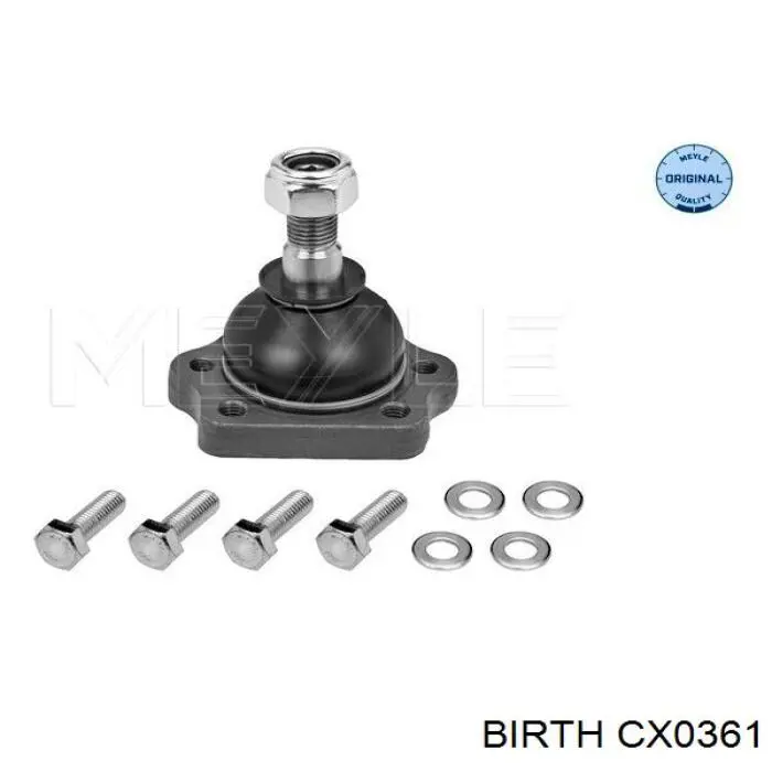 Comprar CX0361 Birth Rótula de suspensión
