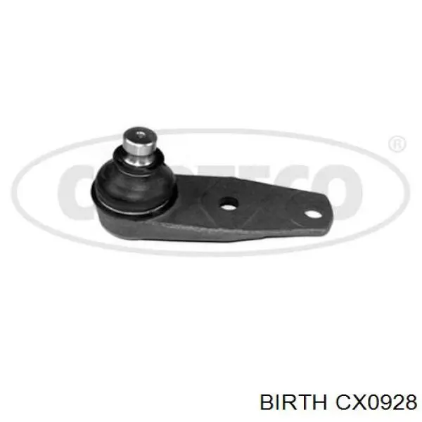 Rótula inferior de suspensión Birth CX0928 precio, desde 9,04 EUR