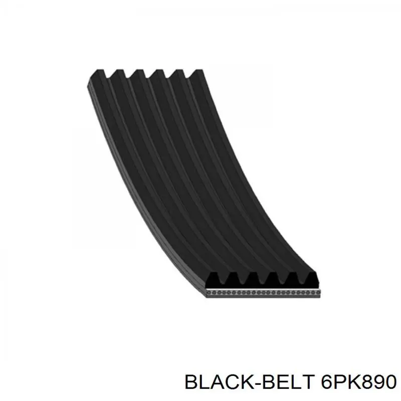 6PK890 Black Belt correa trapezoidal