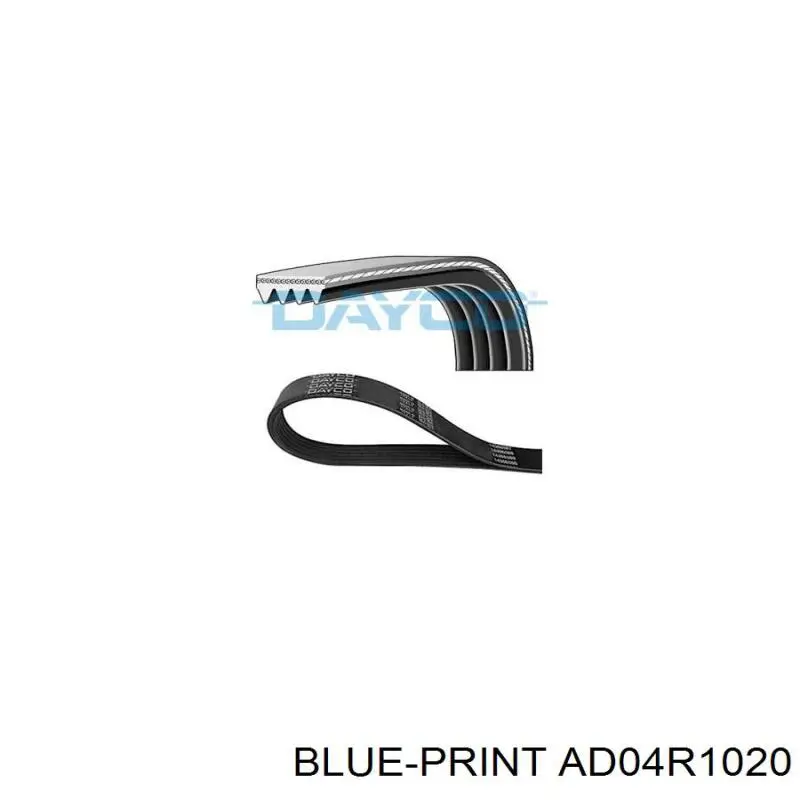 AD04R1020 Blue Print correa trapezoidal
