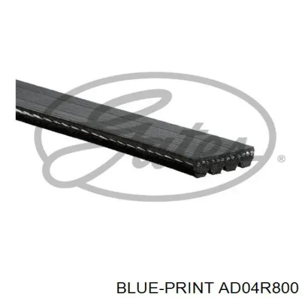 AD04R800 Blue Print correa trapezoidal
