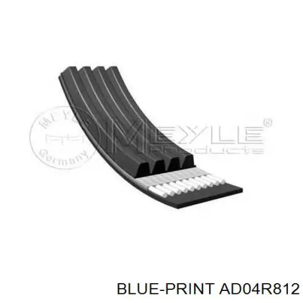 Correa de alternador AD04R812 Blue Print