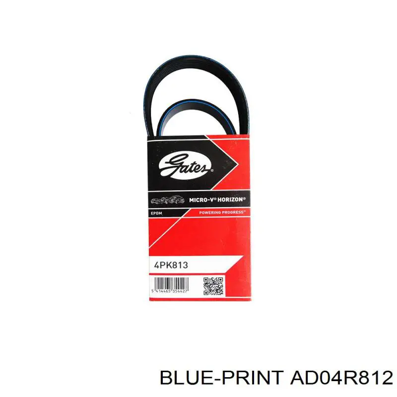 Correa accesorios Blue Print AD04R812