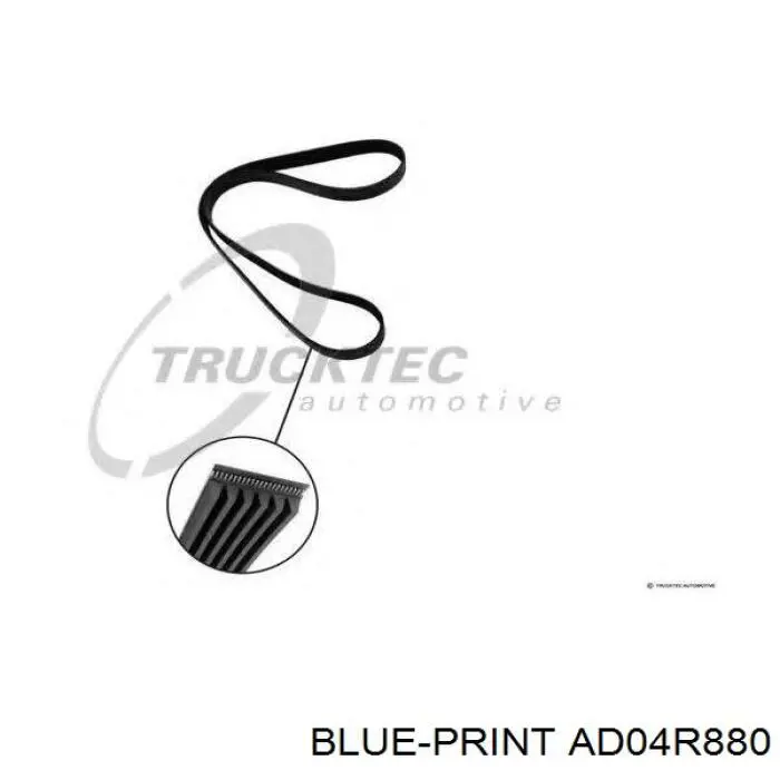 AD04R880 Blue Print correa trapezoidal