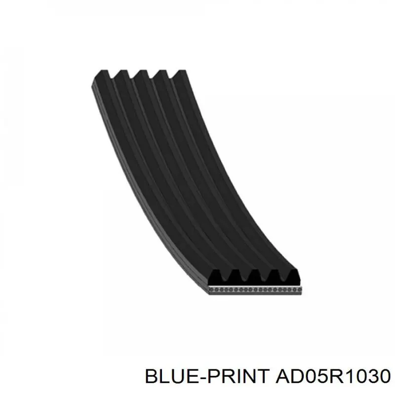 AD05R1030 Blue Print correa trapezoidal