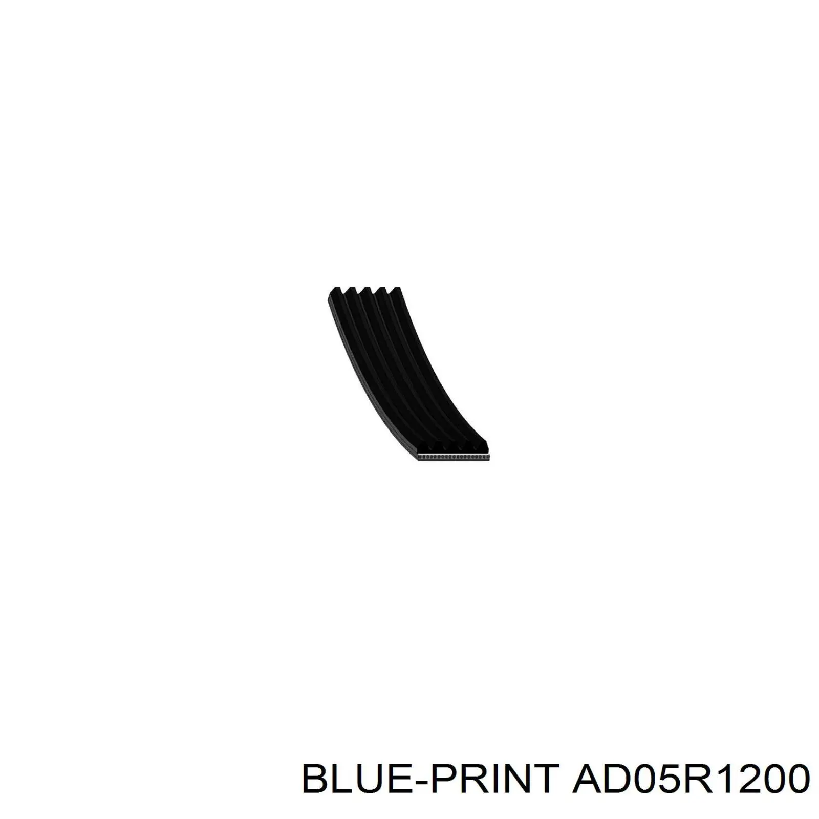 AD05R1200 Blue Print correa trapezoidal