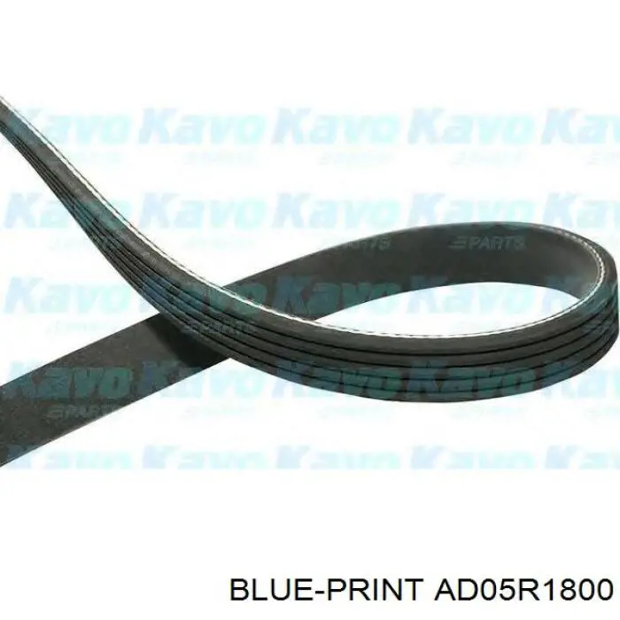 Correa accesorios Hyundai/Kia 5PK1801