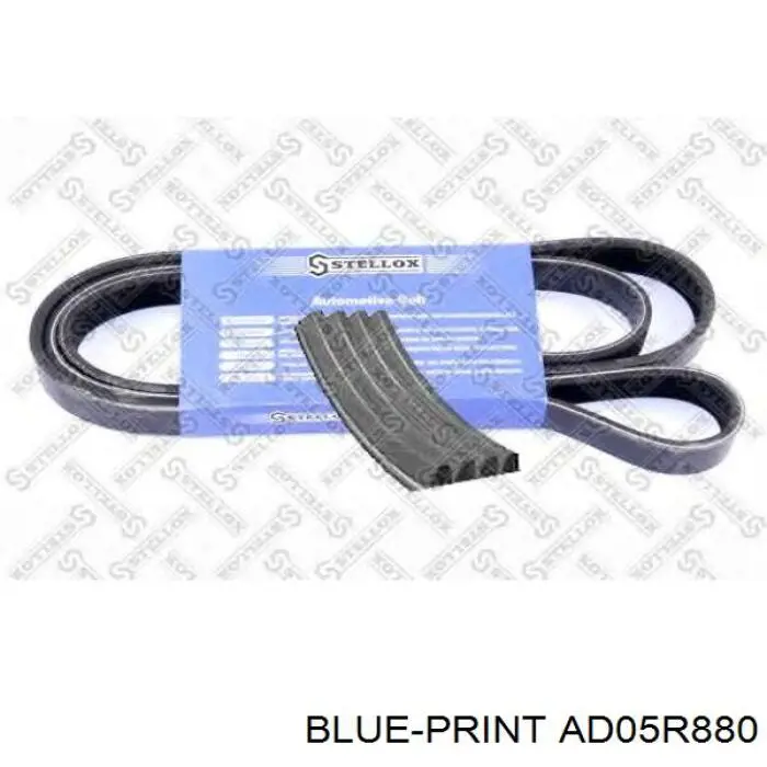 Correa accesorios General Motors 55351459