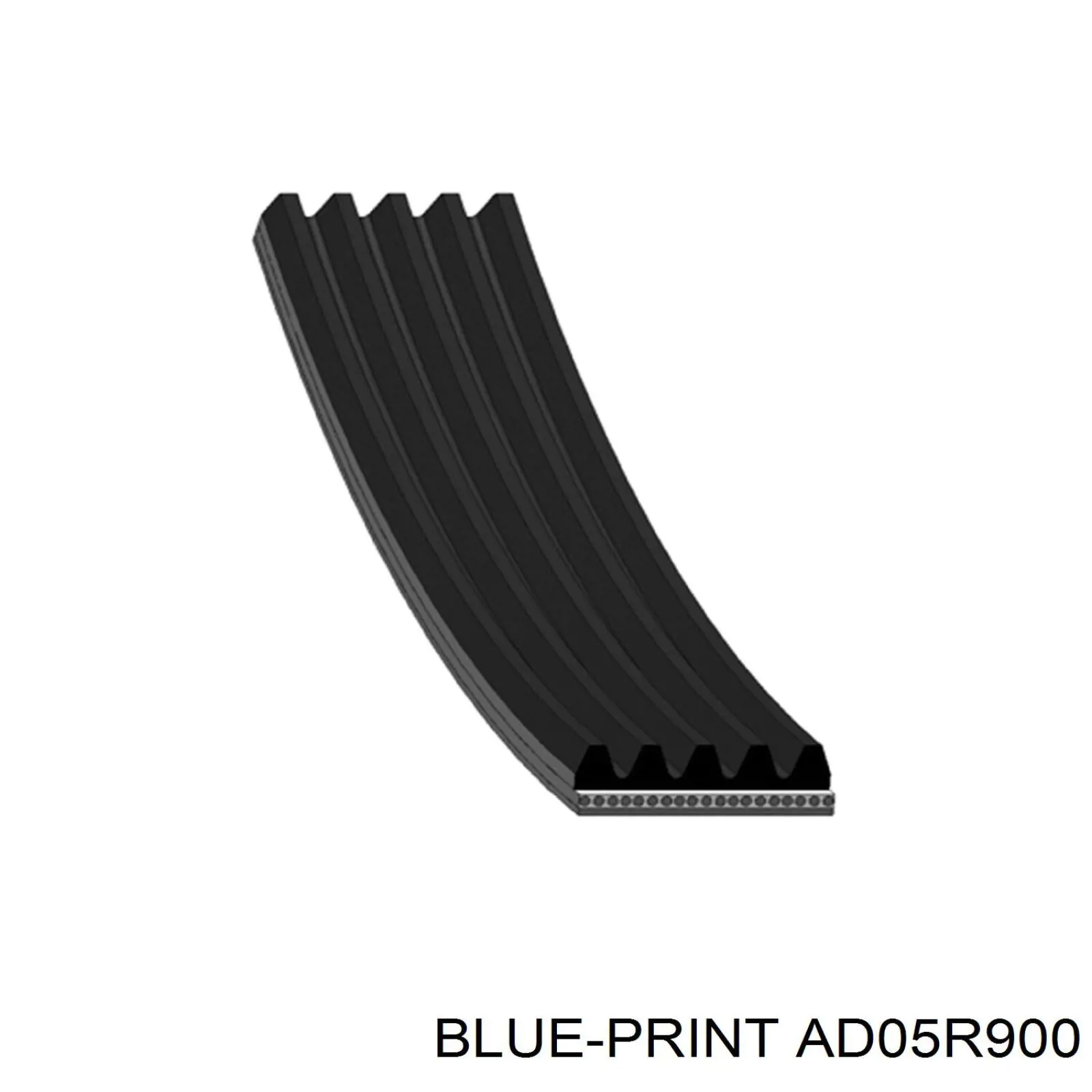 AD05R900 Blue Print correa trapezoidal