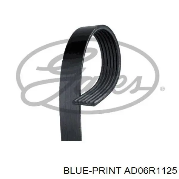 AD06R1125 Blue Print correa trapezoidal