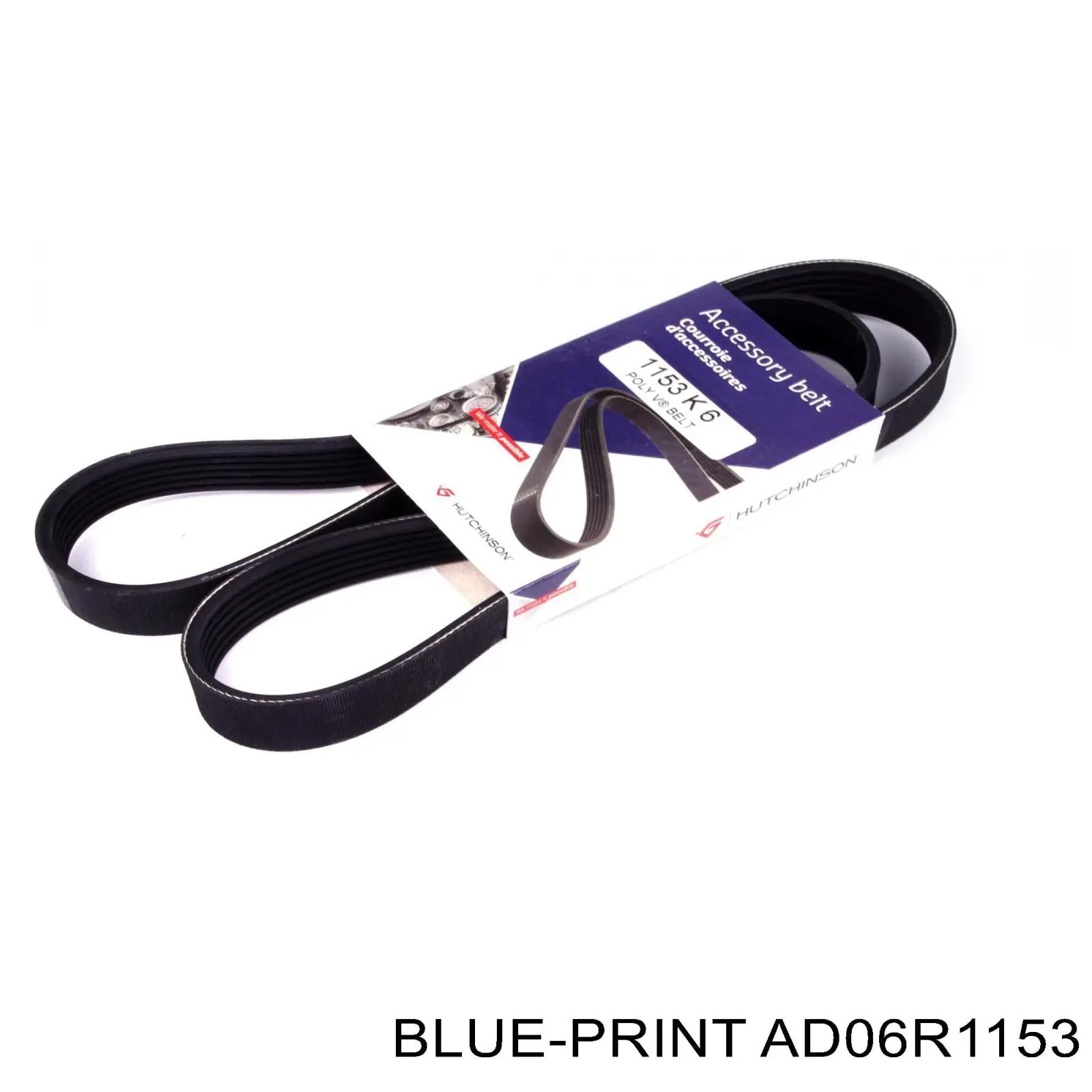 AD06R1153 Blue Print correa trapezoidal