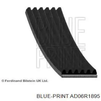 AD06R1895 Blue Print Correa poly v