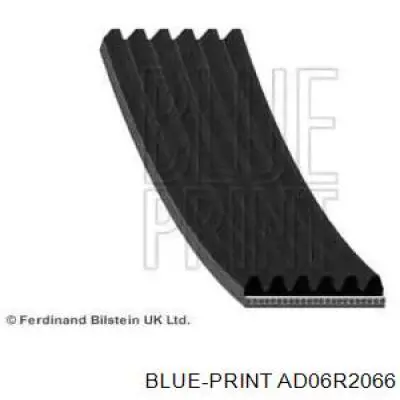 AD06R2066 Blue Print Correa poly v