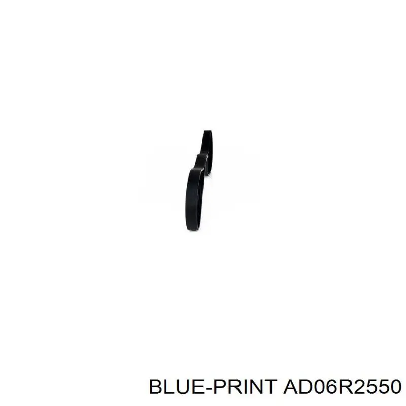 Correa de alternador AD06R2550 Blue Print