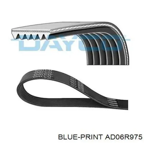 Correa de transmisión trapezoidal VAG 6PK976 precio, desde 12,82 EUR