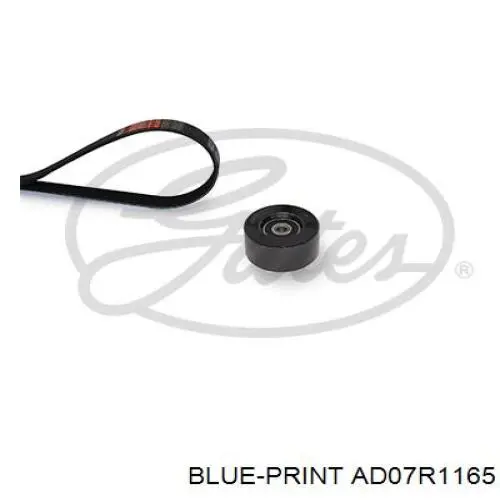 Correa de transmisión trapezoidal Nissan/Infiniti 117201HC1A precio, desde 18,98 EUR