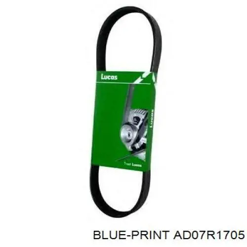 Comprar 119202462R Renault (RVI) Correa trapezoidal