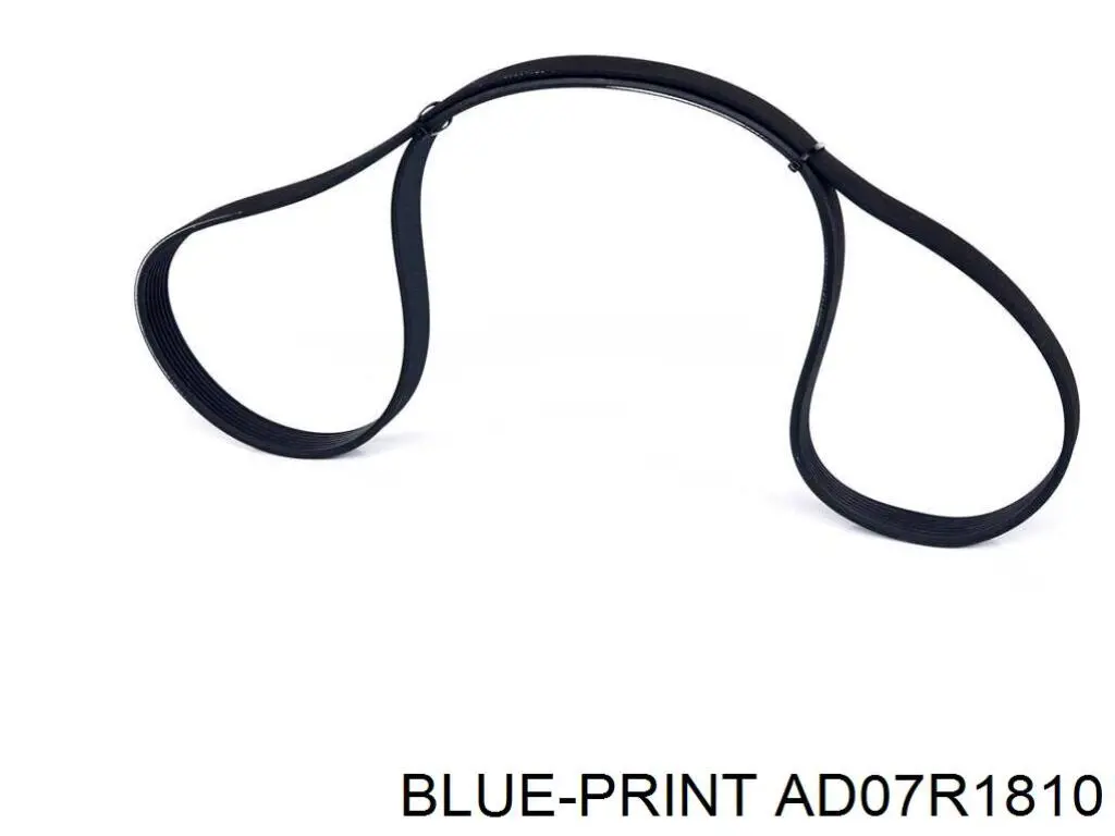 Correa accesorios Honda 569925J0A01
