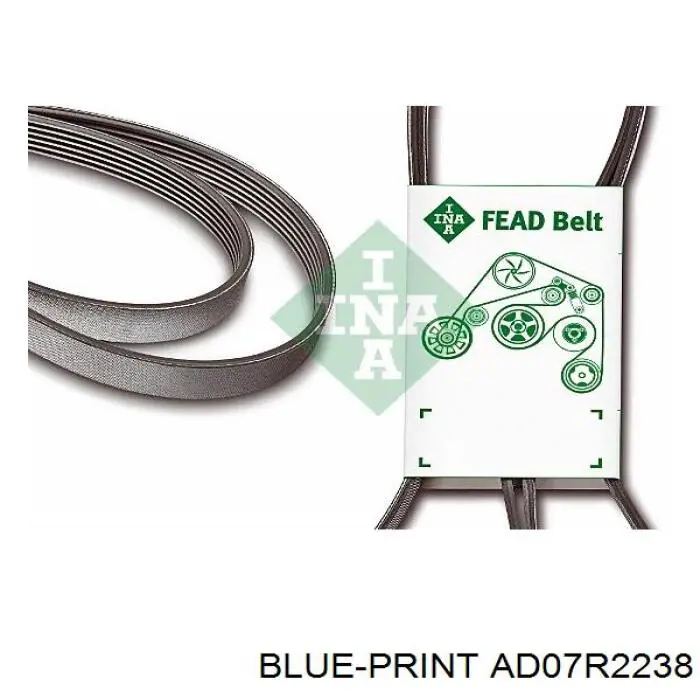 AD07R2238 Blue Print correa trapezoidal