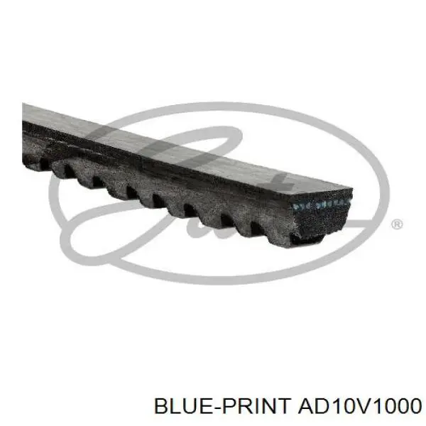 AD10V1000 Blue Print correa trapezoidal